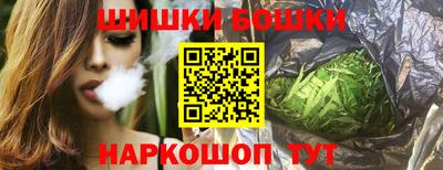 индика Ижевск