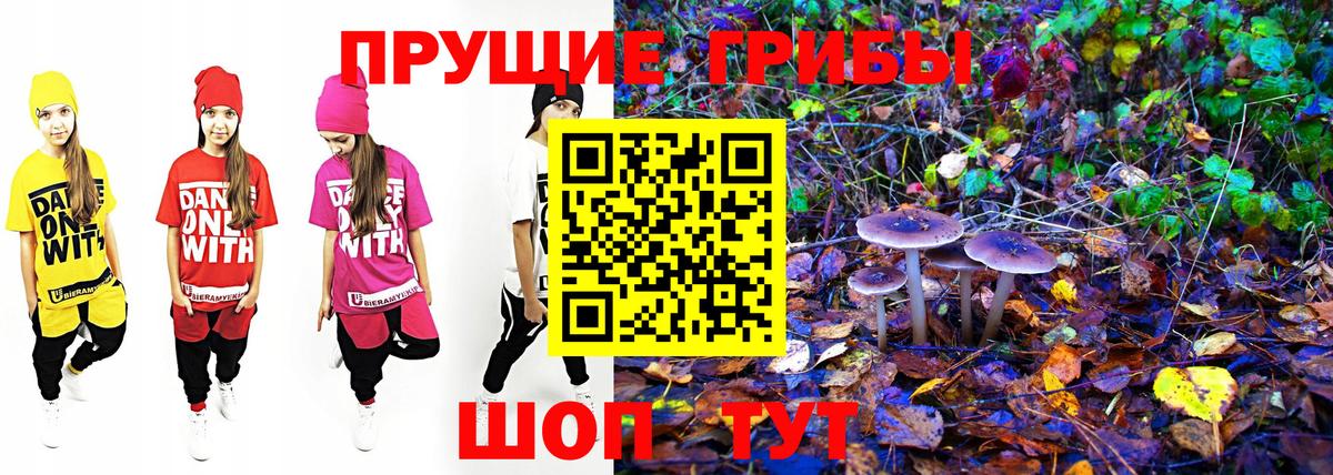 Галлюциногенные грибы GOLDEN TEACHER  Вход с VPN  Галлюциногенные грибы GOLDEN TEACHER  Боровичи 