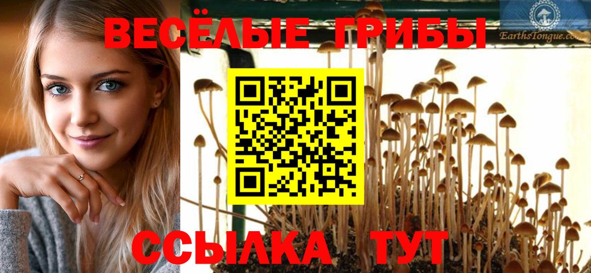 Галлюциногенные грибы прущие грибы Боровичи